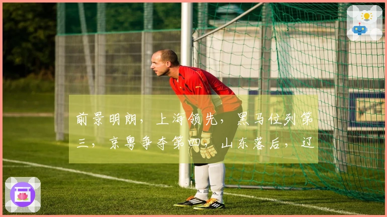 前景明朗，上海领先，黑马位列第三，京粤争夺第四，山东落后，辽宁第九