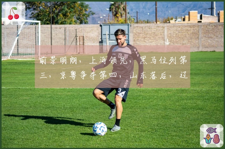 前景明朗，上海领先，黑马位列第三，京粤争夺第四，山东落后，辽宁第九