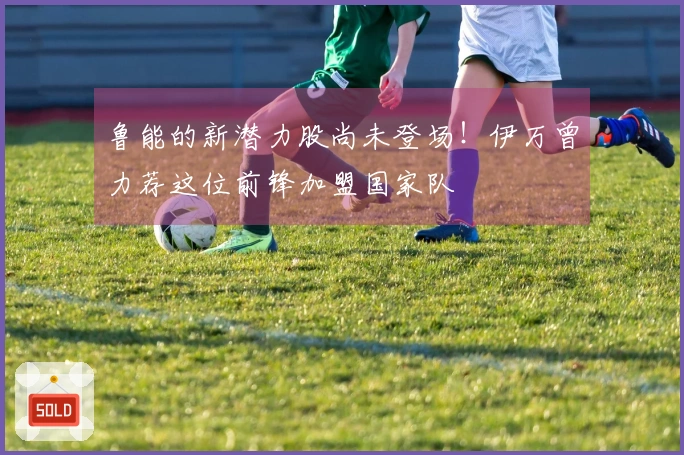 鲁能的新潜力股尚未登场！伊万曾力荐这位前锋加盟国家队